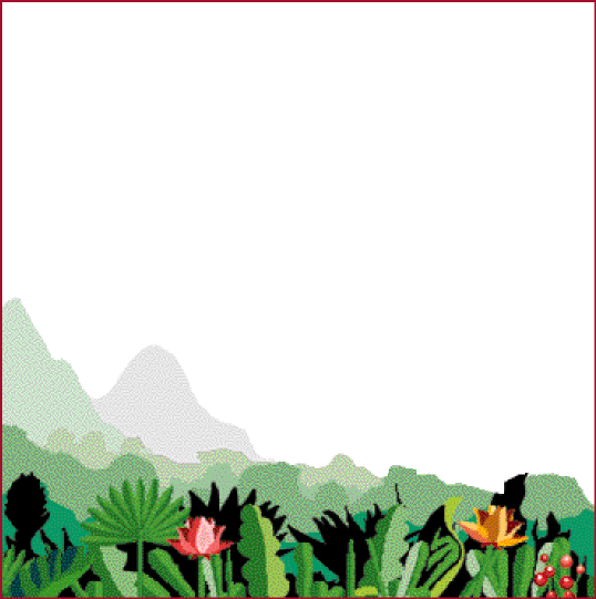 foresta tropicale